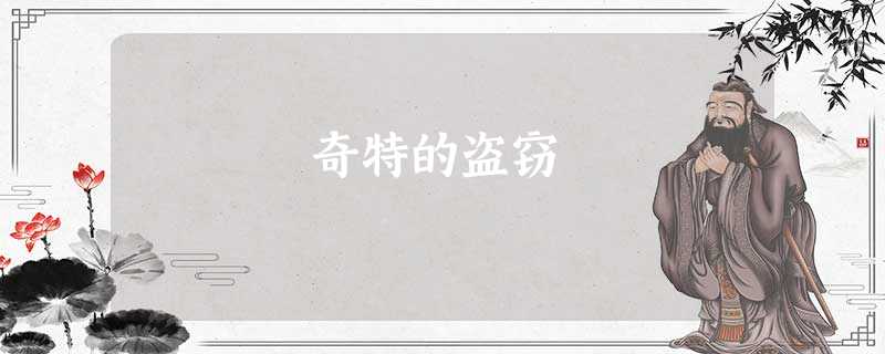 奇特的盗窃 奇特的盗窃