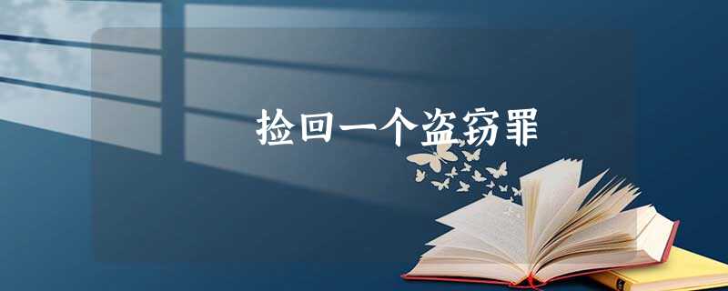 捡回一个盗窃罪 捡回一个盗窃罪