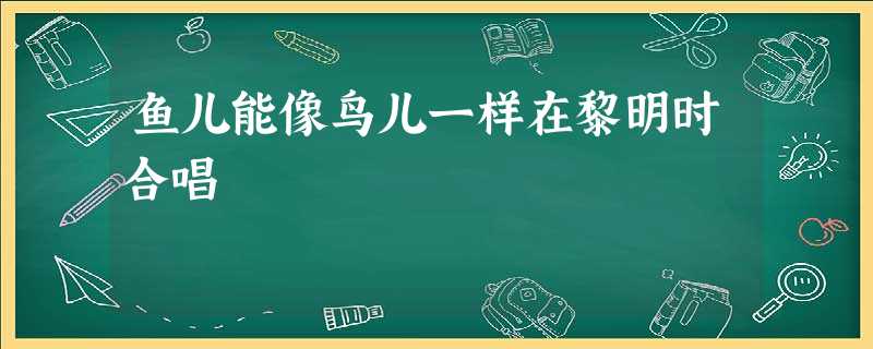 鱼儿能像鸟儿一样在黎明时合唱 鱼儿能像鸟儿一样在黎明时合唱