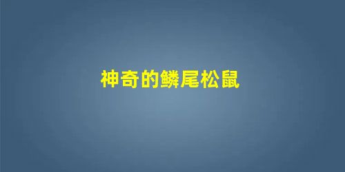神奇的鳞尾松鼠 神奇的鳞尾松鼠