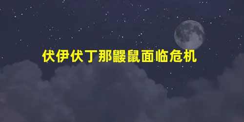 伏伊伏丁那鼹鼠面临危机 伏伊伏丁那鼹鼠面临危机