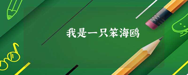 我是一只笨海鸥 我是一只笨海鸥