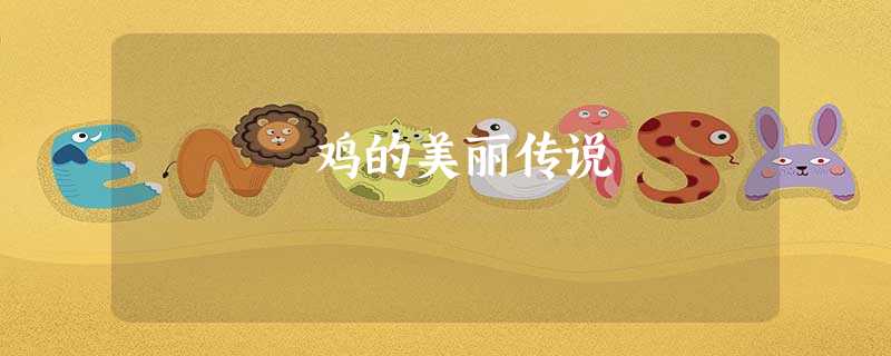 鸡的美丽传说 鸡的美丽传说