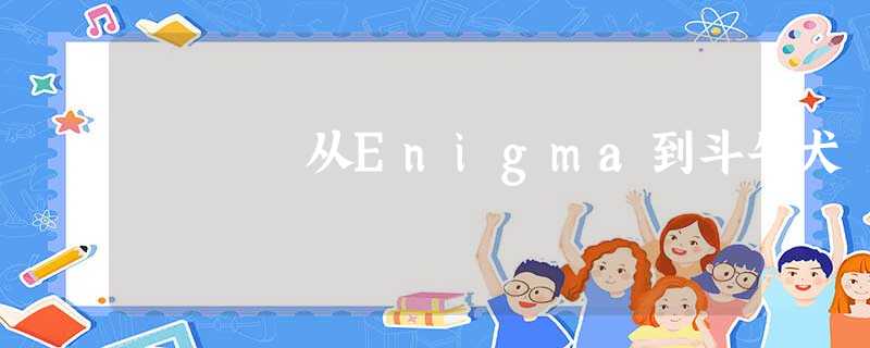 从Enigma到斗牛犬 从Enigma到斗牛犬