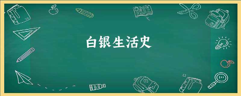 白银生活史 白银生活史