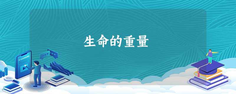 生命的重量 生命的重量