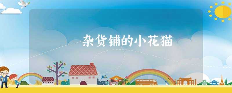 杂货铺的小花猫 杂货铺的小花猫