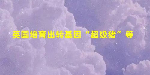 英国培育出转基因“超级猪”等 英国培育出转基因“超级猪”等