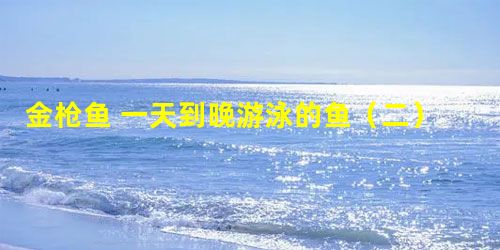 金枪鱼 一天到晚游泳的鱼(二) 金枪鱼 一天到晚游泳的鱼(二)