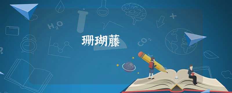 珊瑚藤 珊瑚藤