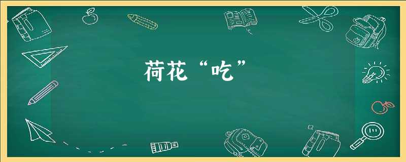 荷花“吃” 荷花“吃”