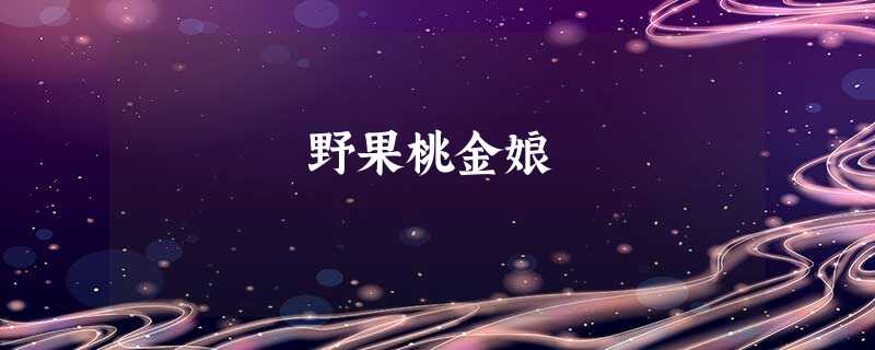 野果桃金娘 野果桃金娘