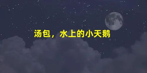 汤包,水上的小天鹅 汤包,水上的小天鹅