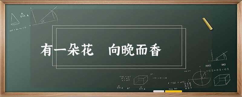 有一朵花 向晚而香 有一朵花 向晚而香