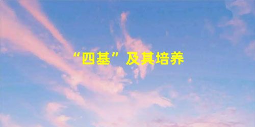 “四基”及其培养 “四基”及其培养