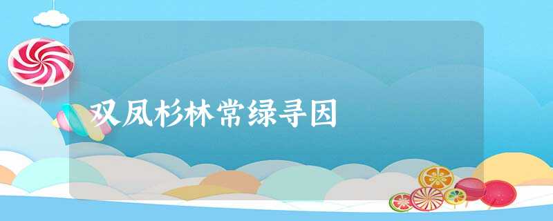 双凤杉林常绿寻因 双凤杉林常绿寻因