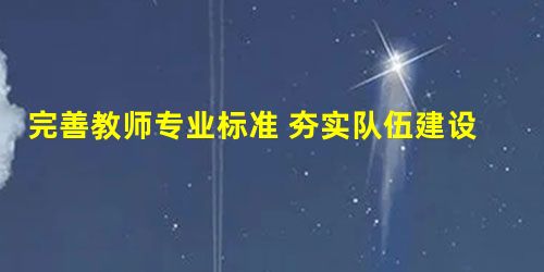 完善教师专业标准 夯实队伍建设根基 完善教师专业标准 夯实队伍建设根基