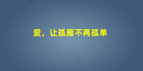 爱,让孤雁不再孤单 爱,让孤雁不再孤单