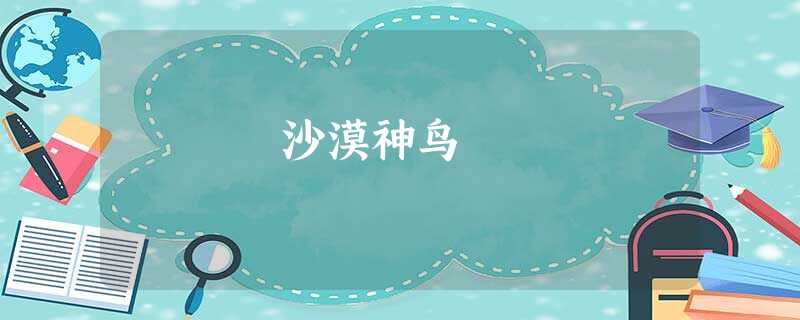 沙漠神鸟 沙漠神鸟