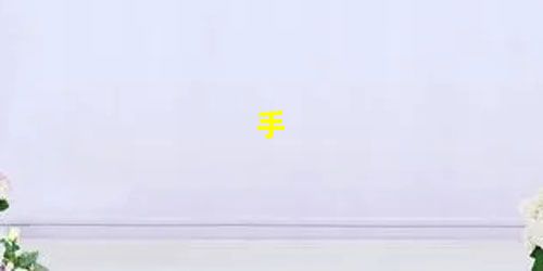 手 手