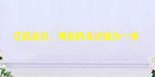 它的成长,和你的成长融为一体 它的成长,和你的成长融为一体