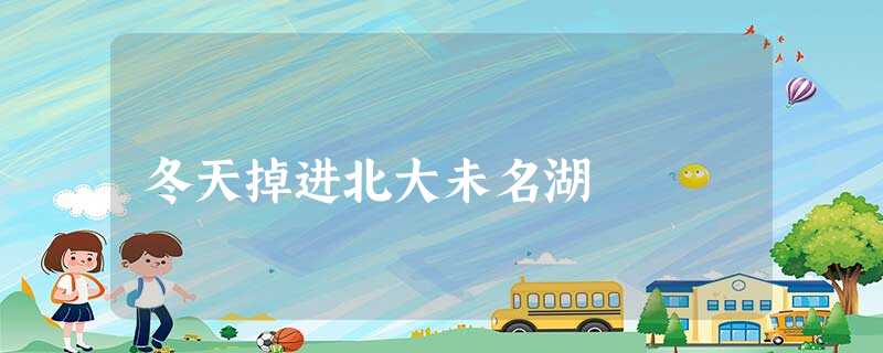 冬天掉进北大未名湖 冬天掉进北大未名湖