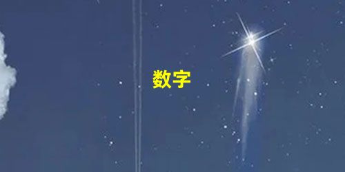 数字 数字