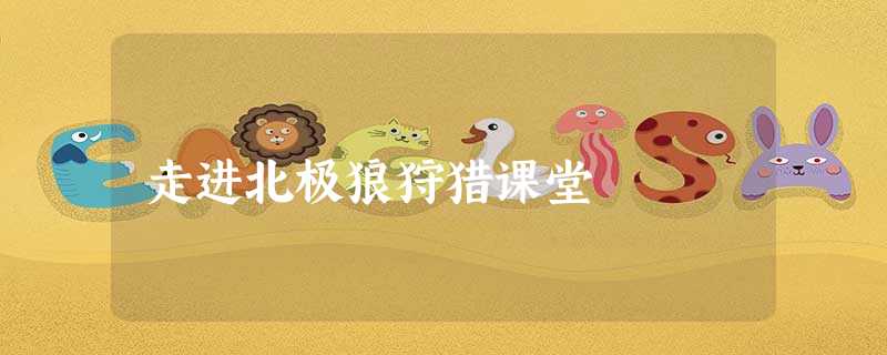 走进北极狼狩猎课堂 走进北极狼狩猎课堂