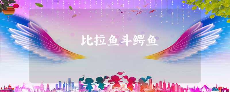 比拉鱼斗鳄鱼 比拉鱼斗鳄鱼