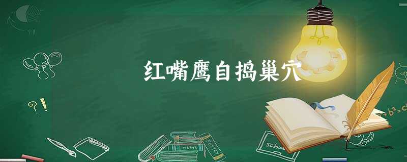 红嘴鹰自捣巢穴 红嘴鹰自捣巢穴