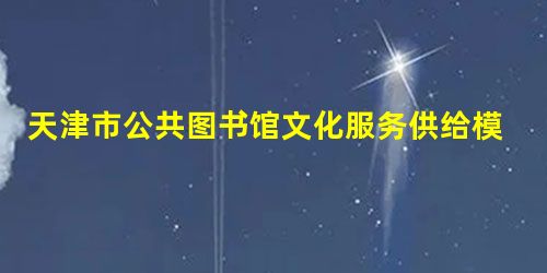 天津市公共图书馆文化服务供给模式的创新 天津市公共图书馆文化服务供给模式的创新