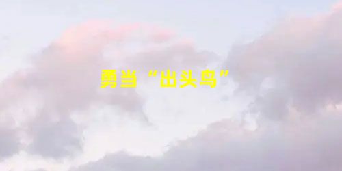 勇当“出头鸟” 勇当“出头鸟”
