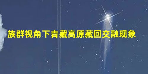 族群视角下青藏高原藏回交融现象探析 族群视角下青藏高原藏回交融现象探析
