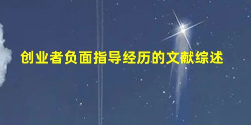 创业者负面指导经历的文献综述 创业者负面指导经历的文献综述