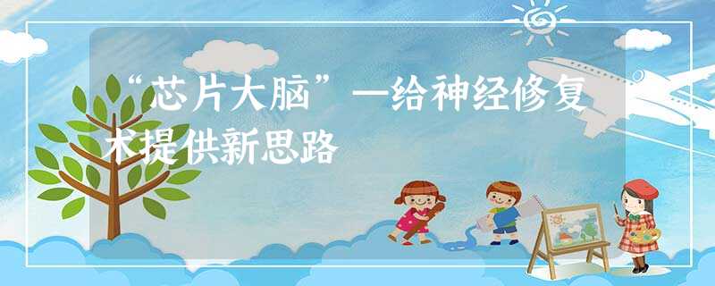 “芯片大脑”—给神经修复术提供新思路 “芯片大脑”—给神经修复术提供新思路