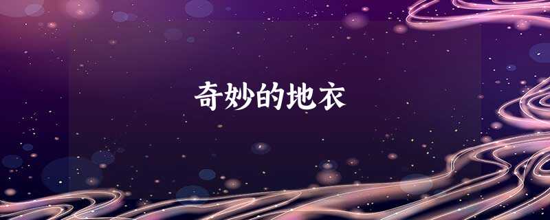 奇妙的地衣 奇妙的地衣