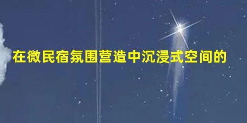 在微民宿氛围营造中沉浸式空间的探索与研究 在微民宿氛围营造中沉浸式空间的探索与研究