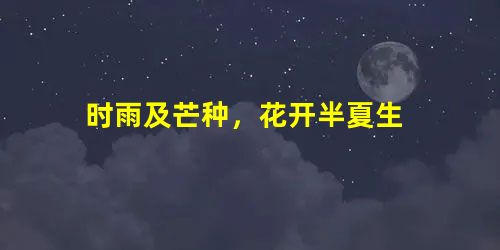 时雨及芒种,花开半夏生 时雨及芒种,花开半夏生