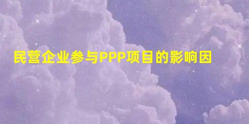 民营企业参与PPP项目的影响因素研究 民营企业参与PPP项目的影响因素研究