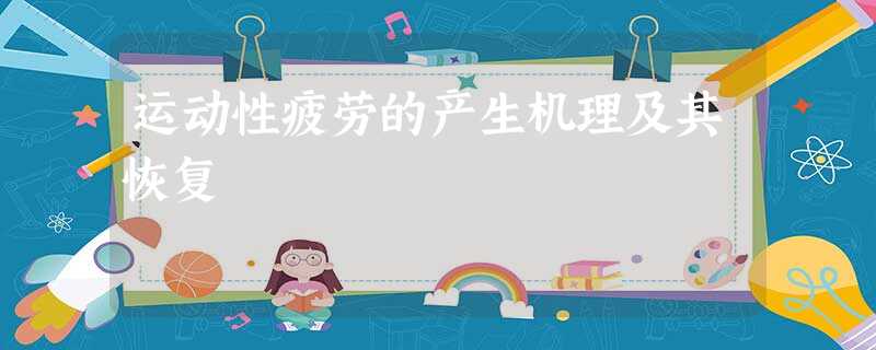 运动性疲劳的产生机理及其恢复 运动性疲劳的产生机理及其恢复