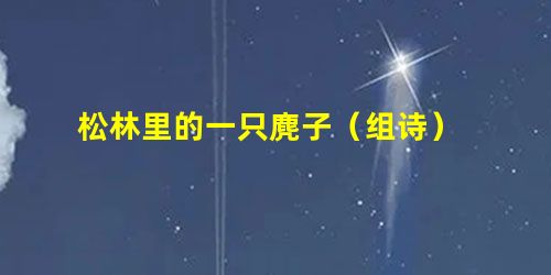 松林里的一只麂子(组诗) 松林里的一只麂子(组诗)