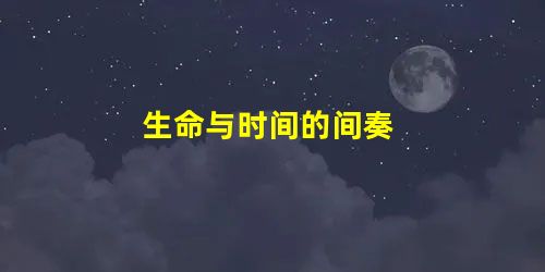 生命与时间的间奏 生命与时间的间奏
