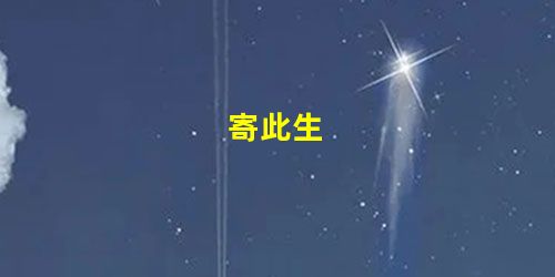 寄此生 寄此生