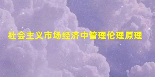 社会主义市场经济中管理伦理原理思考 社会主义市场经济中管理伦理原理思考