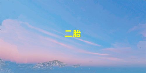 二胎 二胎