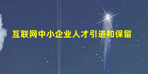 互联网中小企业人才引进和保留 互联网中小企业人才引进和保留