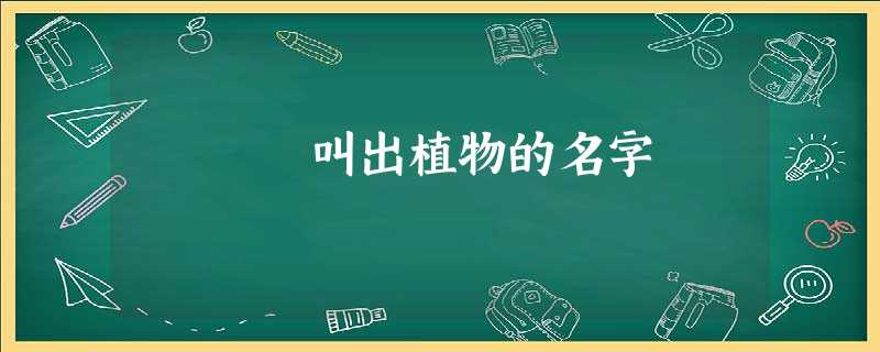 叫出植物的名字 叫出植物的名字