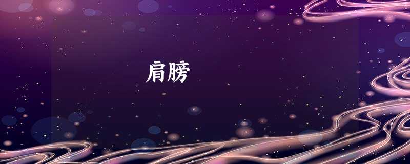 肩膀 肩膀