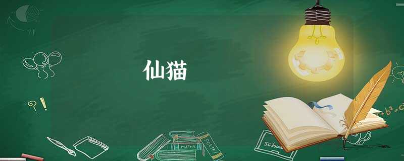 仙猫 仙猫