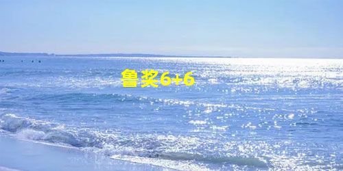 鲁奖6+6 鲁奖6+6